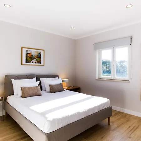 Casa Do Gato Sete Riscas *