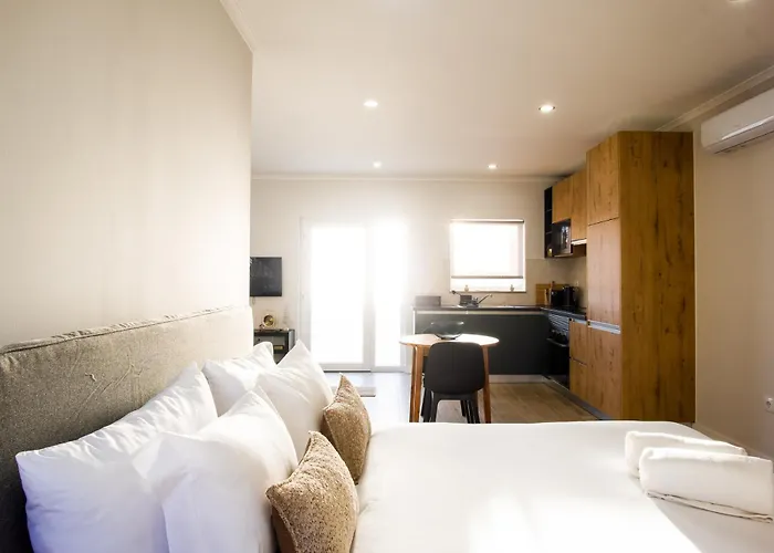 Casa Do Gato Sete Riscas